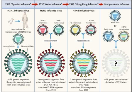 influenza 